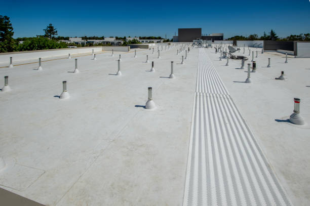 Best Roofing for New Construction  in Portales, NM